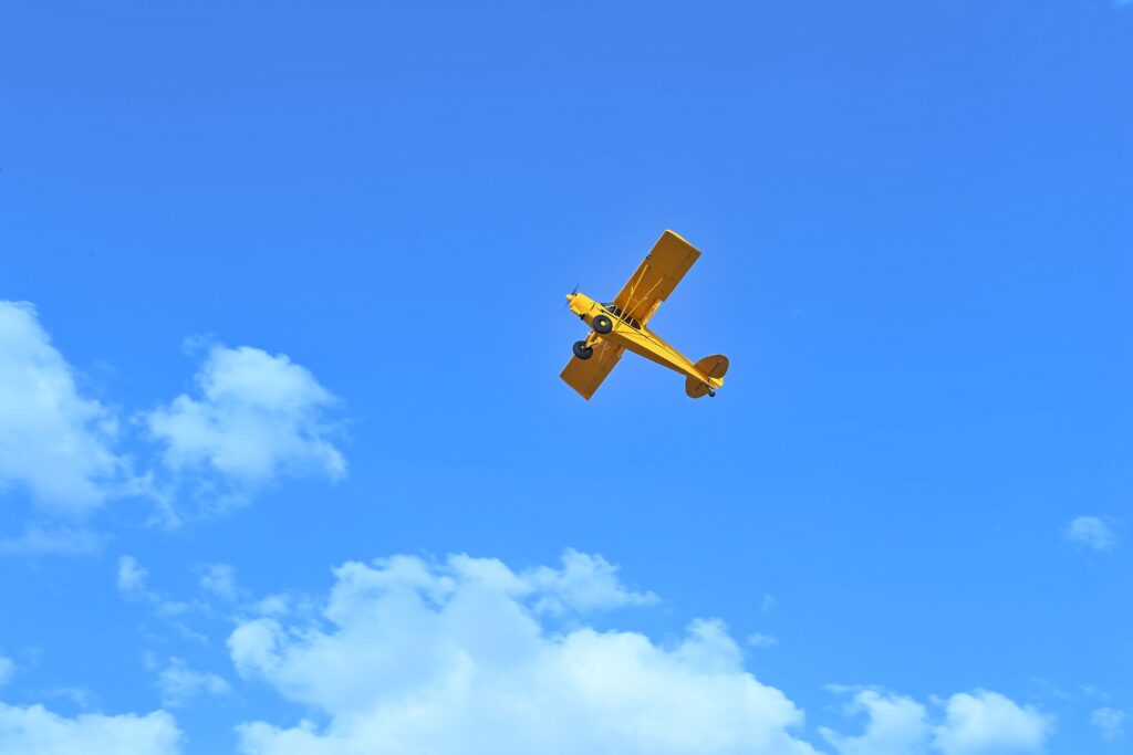 فلاي-ان-الرس-(1)